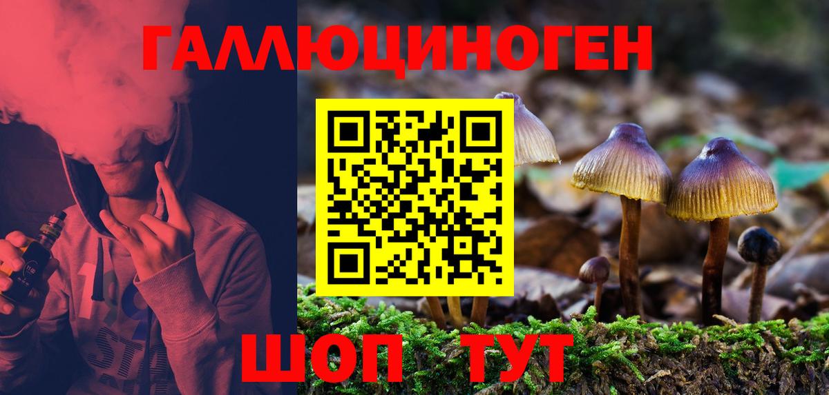 Электрогорск  Псилоцибиновые грибы прущие грибы  купить   Вход с VPN 